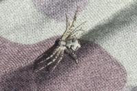 Philodromus margaritatus