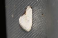 Cilix