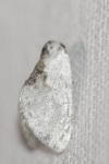 Cilix